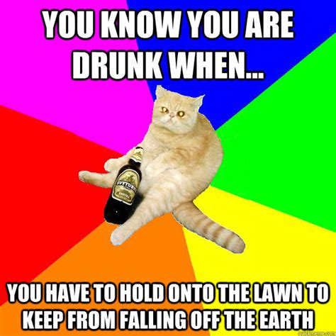 Drunk Cat Memes Quickmeme