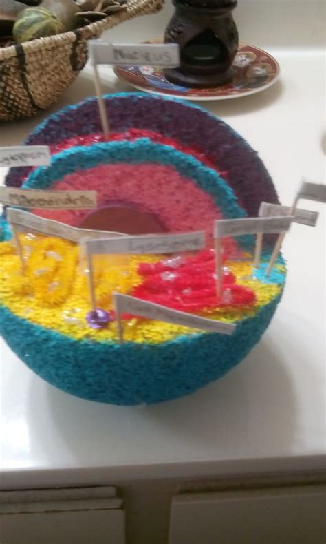 Animal cell 3d model materials. Build 3D Models of Animal and Plant Cells | Models ...