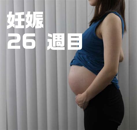 妊娠7ヶ月のお腹の大きさと6回目のアメリカ産婦人科検診 26w3days リブアメ