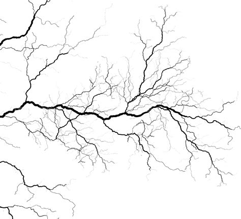 veins png all png all