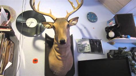 Buck The Singing Deer Sings Do You Remember Youtube