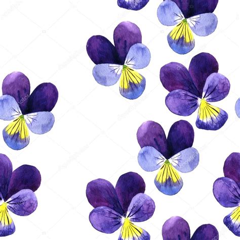 Violet Flower Drawing At Getdrawings Free Download