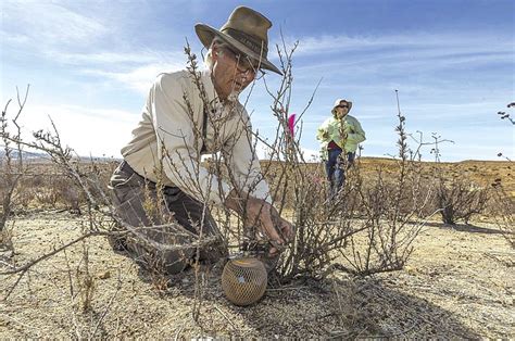 Photo Us Fish And Wildlife Service Biologist John