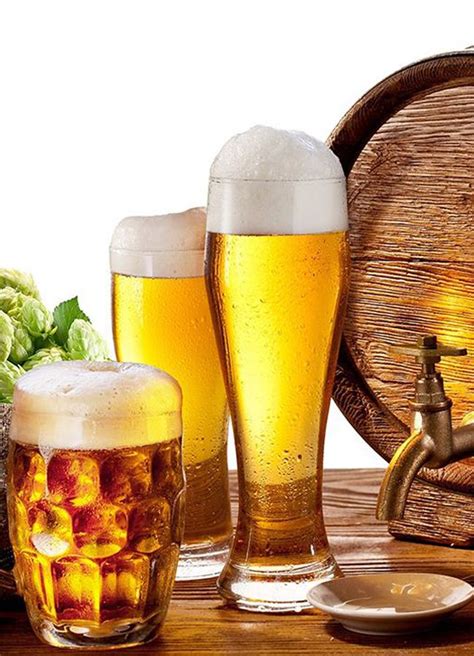 Top 12 Popular Chinese Beers You Should Try Artofit