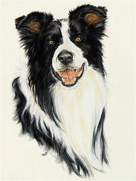 Border Collie Painting By Barbara Keith