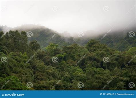 Aerial View Of Mist Cloud And Fog Hanging Over A Lush Tropical