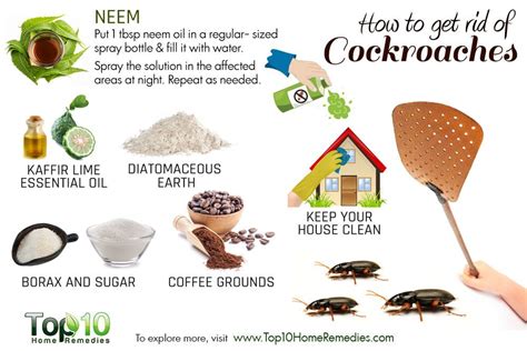 Things You Need 2 Know How To Get Rid Of Cockroaches