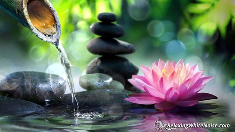 Zen Fountain Water Sounds For Relaxation Studying