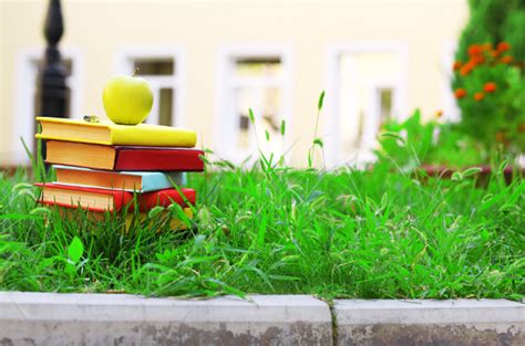 Green Space In The School Realplay