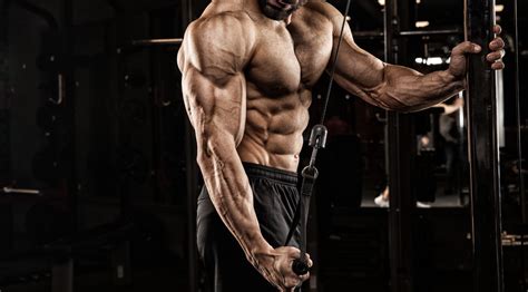 The 10 Best Tricep Exercises For Beginners Muscle And Fitness