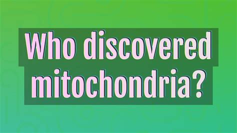 Who Discovered Mitochondria Youtube