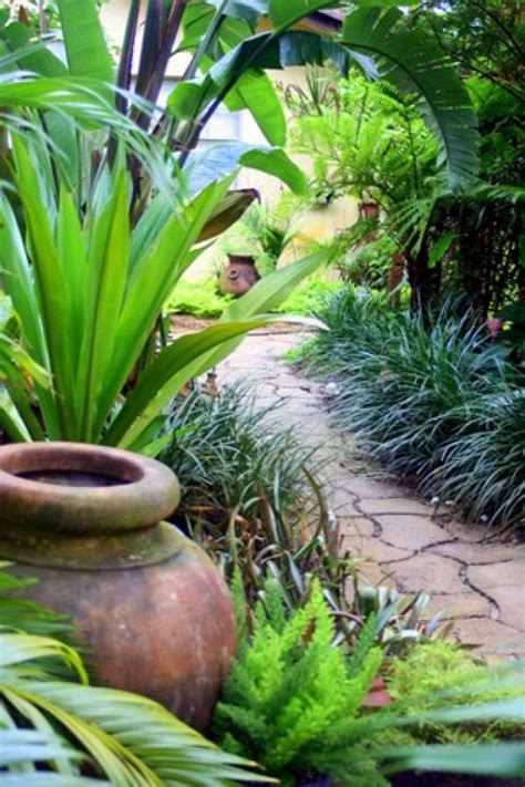 14 Cold Hardy Tropical Plants To Create A Tropical Garden In Cold