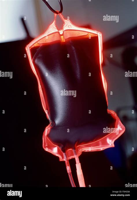 Blood Bag Filled With Blood Stock Photo Alamy