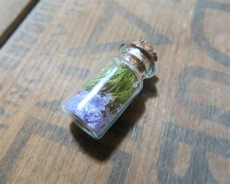 Terrarium With Live Moss In Mini Glass Bottle Necklace Jewelry