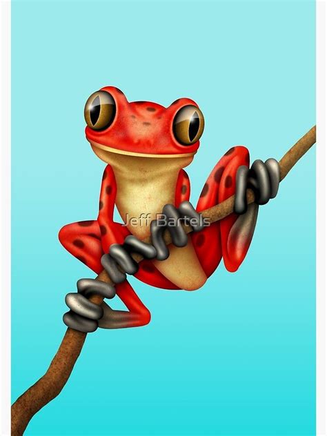 Funny Frogs Cute Frogs Animal Paintings Animal Drawings Tree Frog