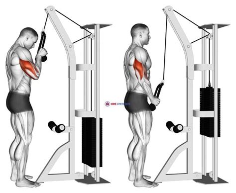 Cable Standing One Arm Tricep Pushdown Overhand Grip Home Gym Review