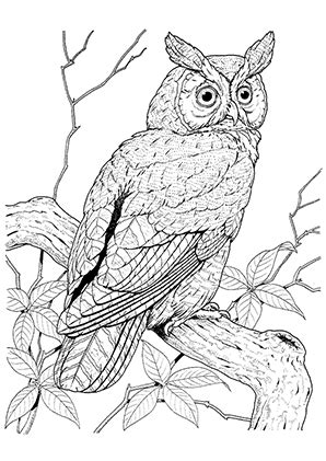 Ausmalbilder mandala kostenlos eule mandalas eulen zum. Ausmalbilder Eule 3 - Eulen Malvorlagen