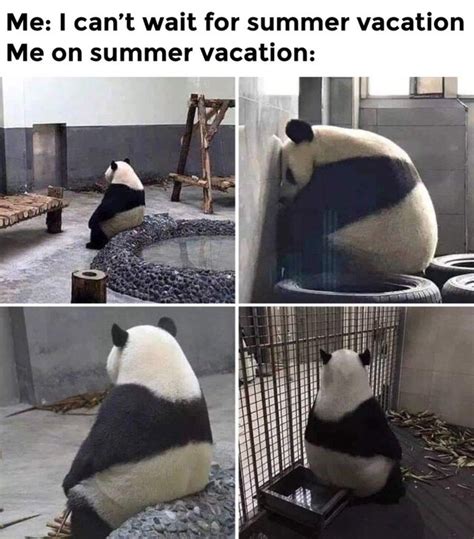 Summer Vacation 2020 Memes These Hilarious Summer Vacation 2020 Memes
