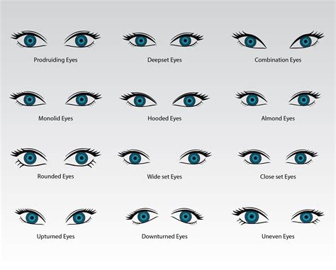 Types Of Eyes Ubicaciondepersonas Cdmx Gob Mx