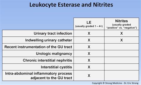 Leukocyte Esterase And Nitrites On Urinalysis Leukocyte Grepmed