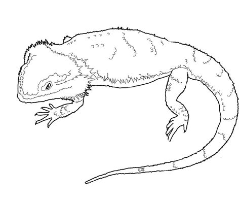 Maybe you would like to learn more about one of these? Bearded Dragon Coloring Pages - Best Coloring Pages For Kids
