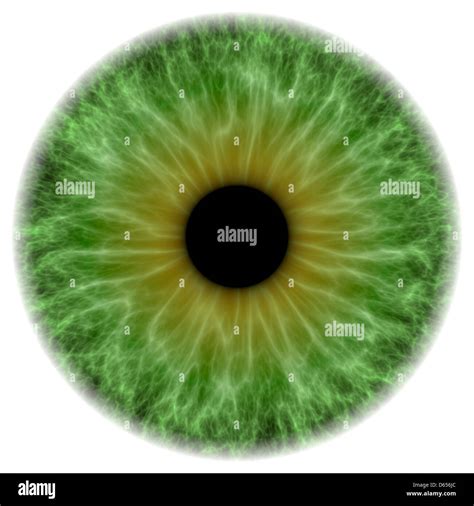 Green Eye Artwork Stock Photo Alamy