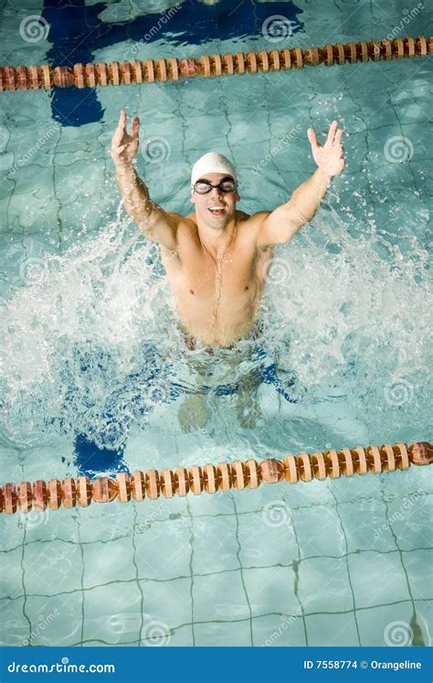 Nuotatore Felice Fotografia Stock Immagine Di Adulto