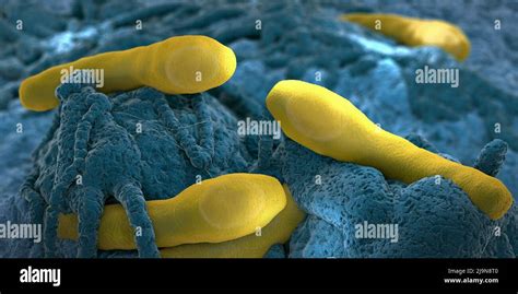 Clostridium Botulism Pathogens Growing On Organic Tissue 3d