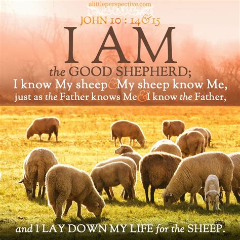 I Am The Good Shepherd I Know My Sheep And My Sheep Know Me Just As