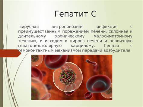 Вирусные гепатиты стол диета Вирусные гепатиты при беременности - презентация онлайн Вирусные гепатиты при беременности - презентация онлайн Вирусные гепатиты стол диета