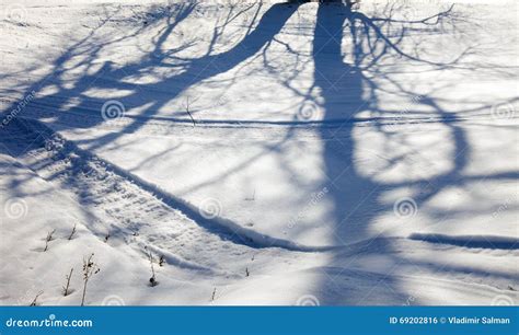 Winter Sunny Landscape Stock Photo Image Of Bright Riverbank 69202816