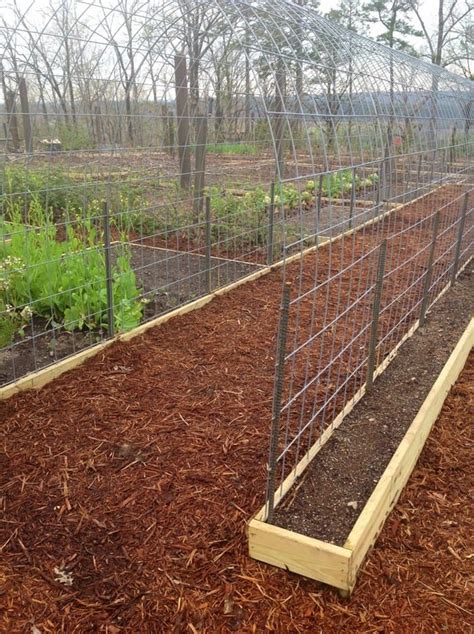 5 Easy Steps To A Trellis Raised Garden Bed Combo Your Projectsobn