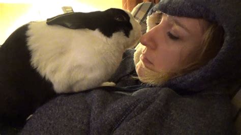 Rabbit Giving Kisses Youtube