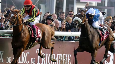 Orfevre Will Be Aiming To Avenge His Last Gasp Prix De L Arc De Triomphe Defeat As He Again