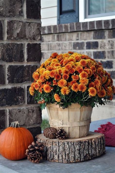 25 Mesmerizing Outdoor Fall Decor Ideas Home Design And