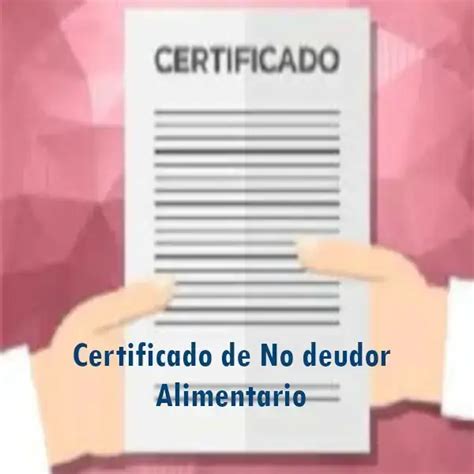 Certificado De No Deudor Alimentario 2024 Ecu11