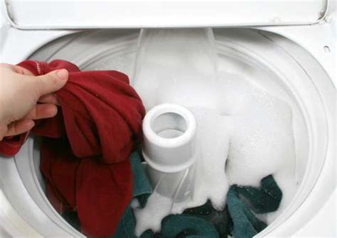 Next, load one of the sorted piles into the washing machine drum, taking care not to overfill it. How to Avoid Bed Bugs on Your Next Trip - Bob Vila