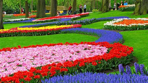 Flower Garden Wallpapers Hd Background Images Photos Pictures