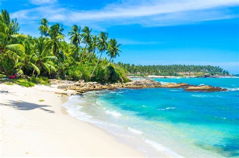 Geniet van de warmte van de zon, de kristal blauwe zee, het koraalzand en wuivende palmbomen. Rejser til Sri Lanka - rundrejser i Sri Lanka