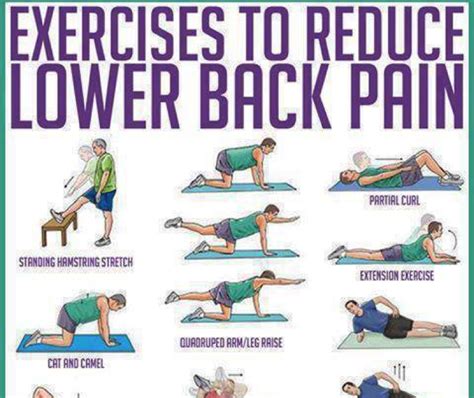 Basic Core Exercises For Back Pain Exercise Poster