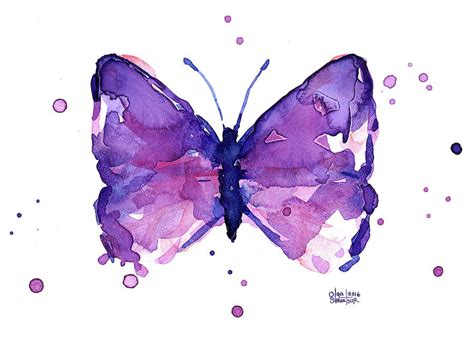 Abstract Purple Butterfly Watercolor Painting By Olga Shvartsur