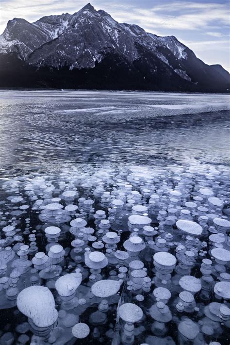 Pin By Madeleine Kriech On Backgrounds Abraham Lake Frozen Bubbles
