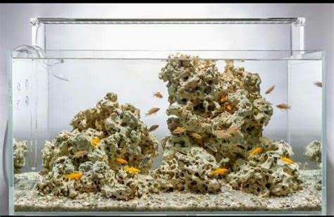 70 inspirasi aquascape dekorasi cantik akuarium masa kini 6 Manfaat Batu di Akuarium untuk Keindahan - Manfaat.co.id