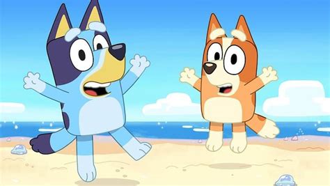 Image Result For Bluey Bingo Jumping Straw Flags Kids Tv Shows Kids