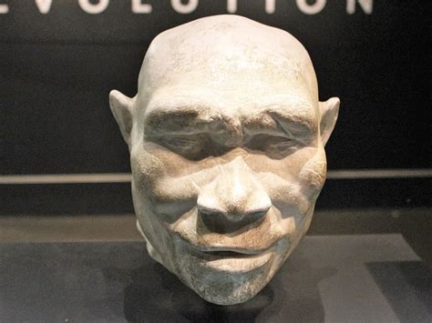 What Drove Homo Erectus Out Of Africa Smithsonian