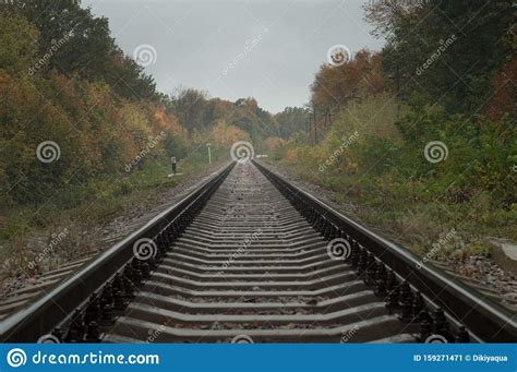 Autumn Railway Rails Extending Into The Distance Stock Image Image