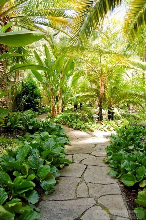 21 Tropical Plant Garden Ideas To Try This Year Sharonsable