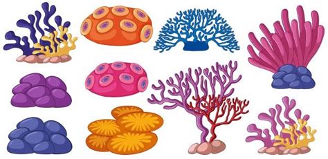 Download transparent coral reef png for free on pngkey.com. coral reef drawing simple - Google Search in 2020 | Coral reef drawing, Free art, Ocean illustration