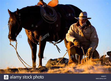 Working Cowboy High Resolution Stock Photography And Images Alamy