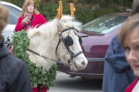 Photos Christmas Carriage Parade In Southern Pines Gallery